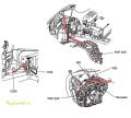 Жгут проводов контроллера КПП Sirius D4