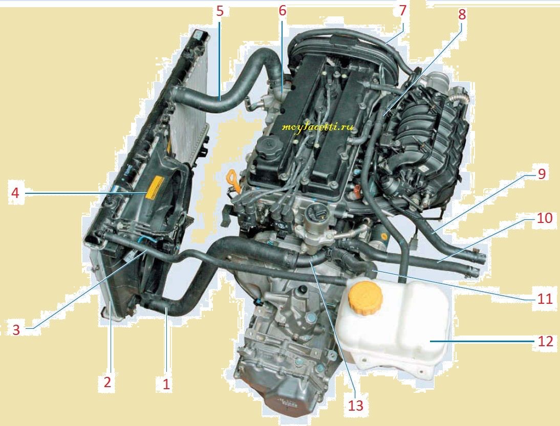 Двигатель автомобиля шанс. Система охлаждения Lacetti 1.6. Система охлаждения двигателя Шевроле Лачетти. Система охлаждения Лачетти 1.6. Система охлаждения двигателя Шевроле Лачетти 1.4.
